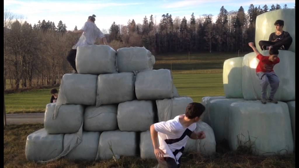 iris training fall 2014 - YouTube