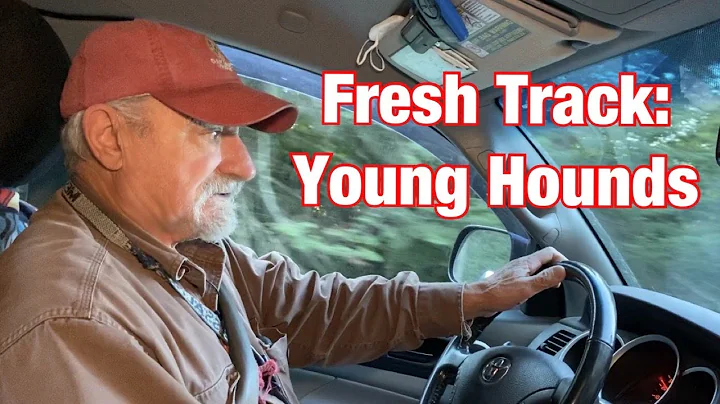 Fresh Tracks: Young Plott Hounds