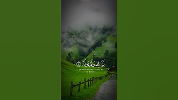 #سورة_الإخلاص #القرآن_الكريم #المصحف #duet #foryou #duet #keşfet #japan #nature #newvideo #new