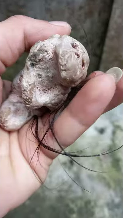WUJUD DARI BATARA KARANG LAUT
