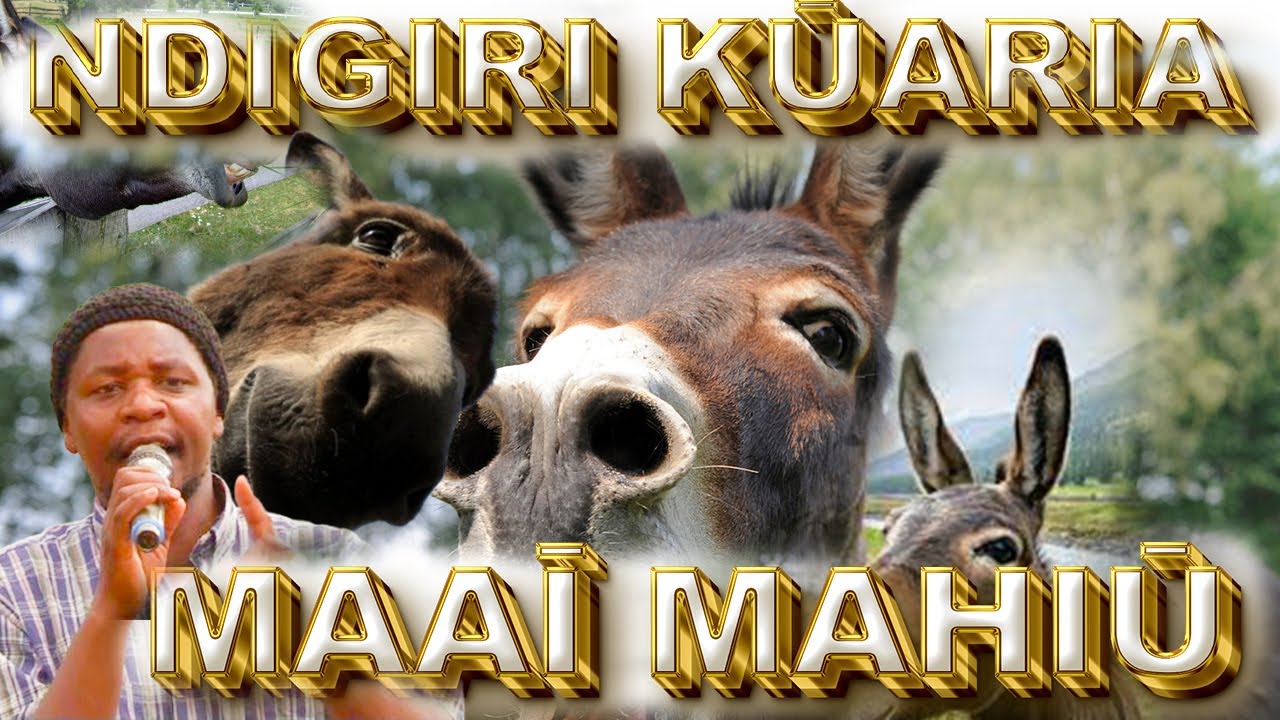 Ndigiri nĩ yũĩ kwaria na mũciari wayo no andũ matiũĩ kwaria na Ngai