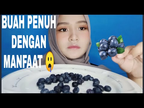 BLUEBERRY | BUAH YANG PENUH DENGAN MANFAAT