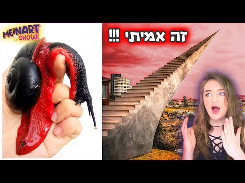 וִידֵאוֹ: רשימת יצורים מיתיים עם תמונות