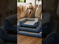 Best-seller: Gor Pets Noodle Dog Bed