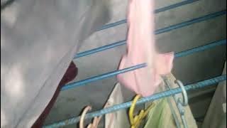 Geby's second-hand underwear, August 2025, part 1