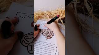 Schede didattiche corpo umano #corpoumano