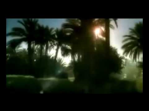 أغنية شكرا يا مصر للشيخ مشاري راشد