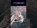 マグロ養殖の秘密