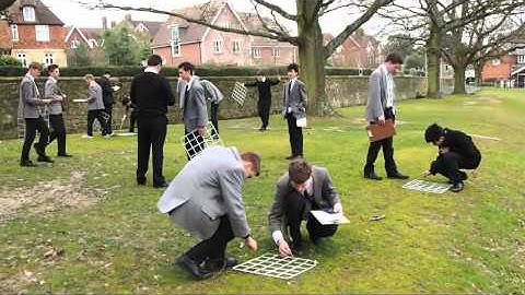 Bi3S4 Sampling with quadrats