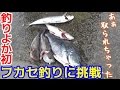 #2 東京の海で釣った魚で生活in伊豆大島！【健啖隊コラボ】