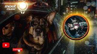 Dj Nicki   Police Hd