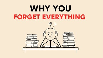 The Real Reason You Forget Everything You Study