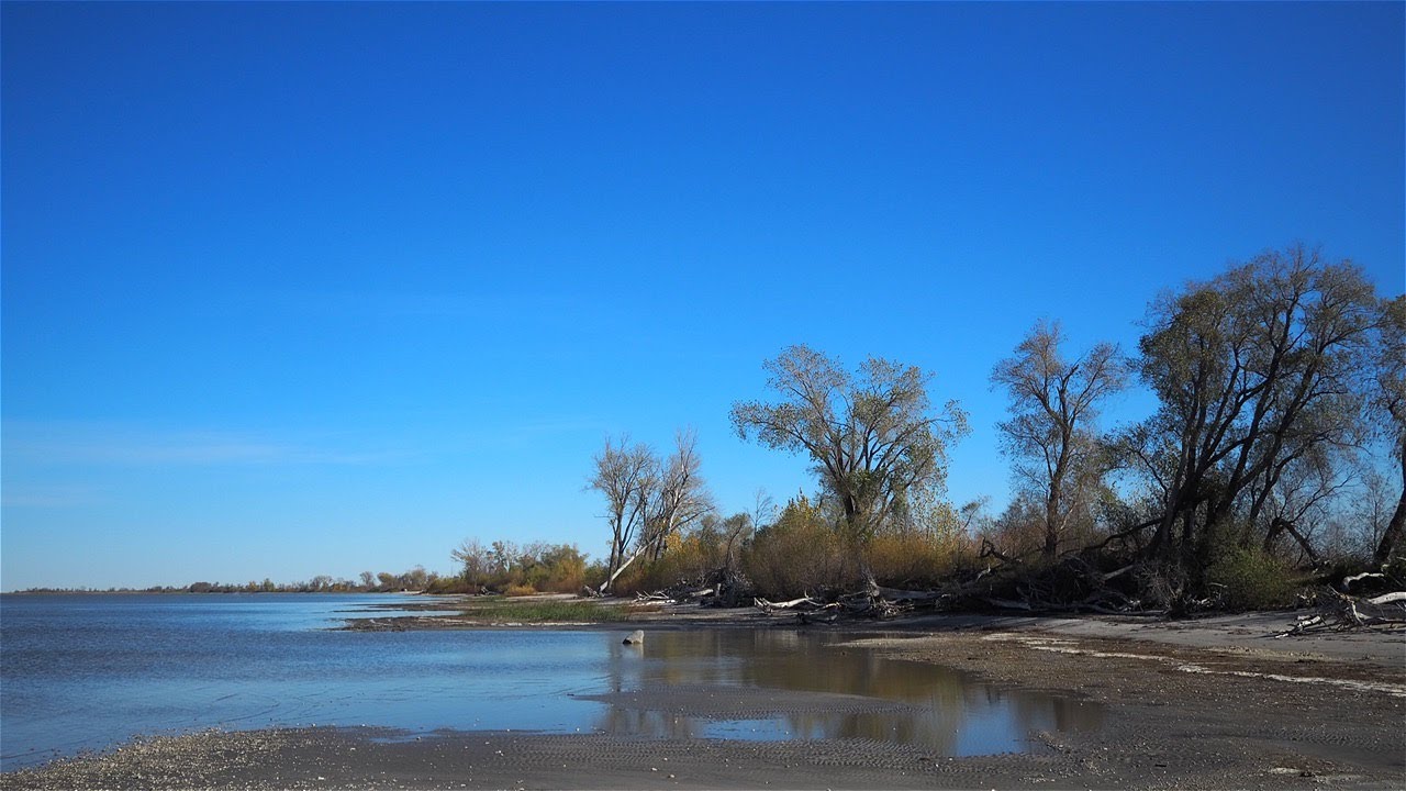 Fall colours in StAmbroise Provincial Park, lake Manitoba YouTube