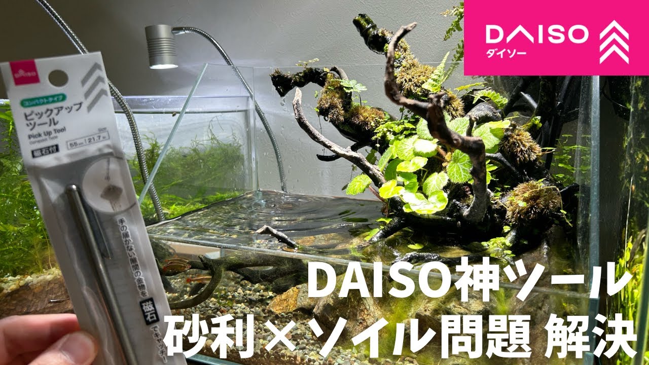 専用ページ　ADAカボーションルビー カボーションルビー 再販売のお知らせ | ADA - NEWS RELEASE