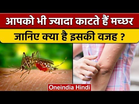 वीडियो: क्या मच्छर इंसानों को काटते हैं?