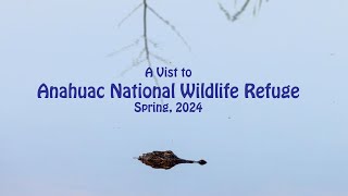 A Visit to Anahuac National Wildlife Refuge, Spring 2024