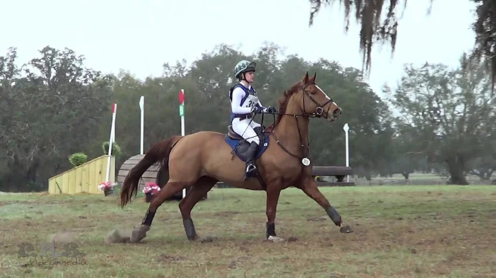 Olivia Mogridge & Calysta MWF at Rocking Horse Winter II Horse Trials 2018