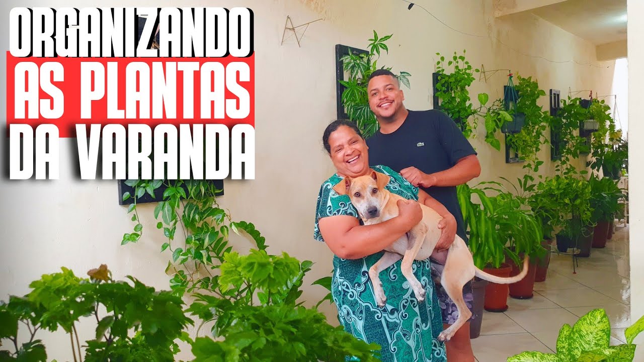 NOVIDADES NA VARANDA: TOUR PELAS DA VARANDA LOTADA DE PLANTAS ORNAMENTAIS | SAMAMBAIAS E FOLHAGENS