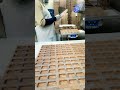 The Ultimate Guide to Crafting Perfect Classic Molded Chocolates Part 1 #chocobar #chocolaterecipe
