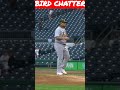 Yadi pitches birdchatter baseballhistory  subscribe