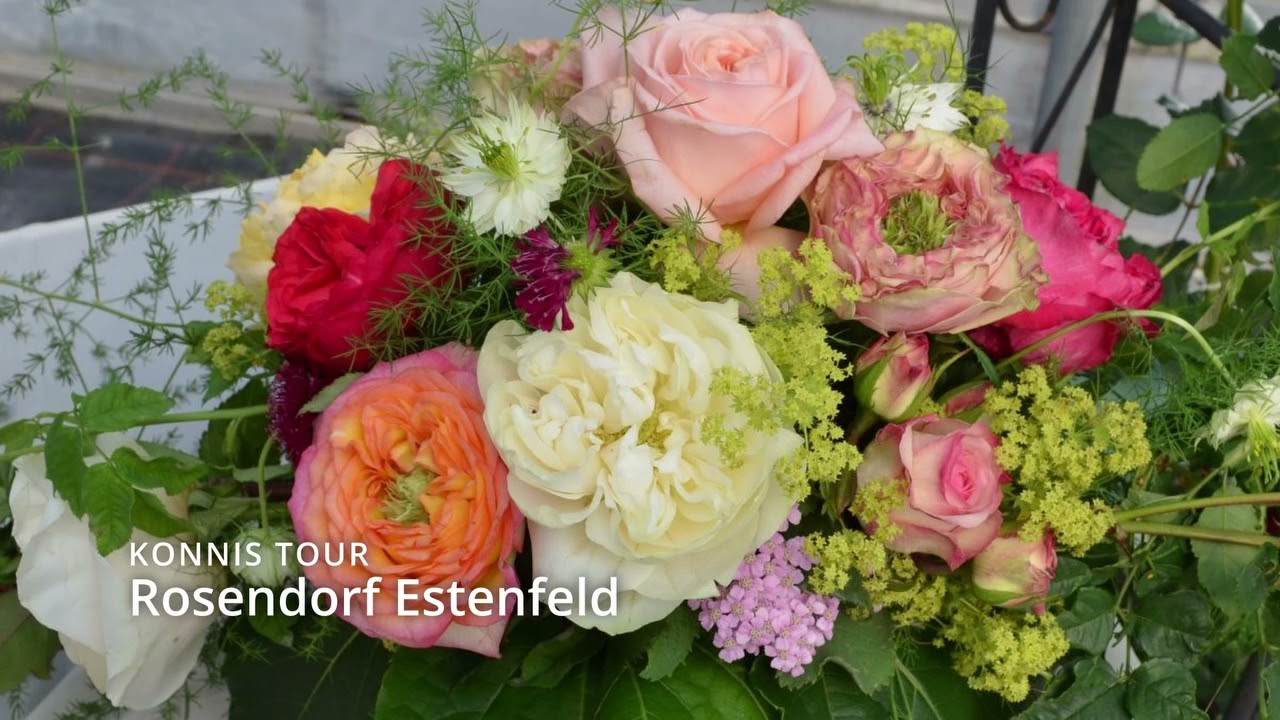 Rosendorf Estenfeld - Konnis Tour