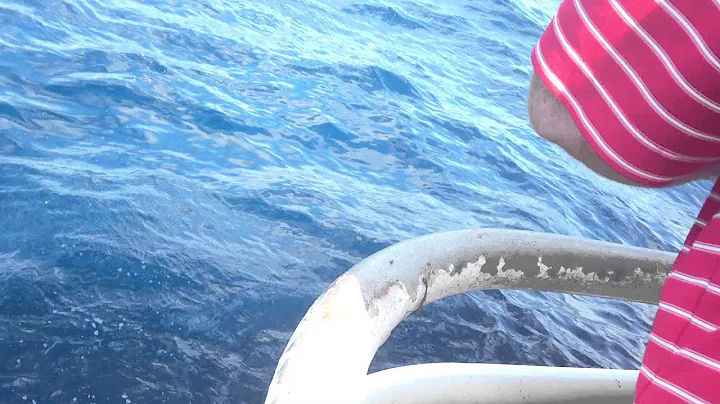 Ron Wylie reeling in first big catch of the day 80...