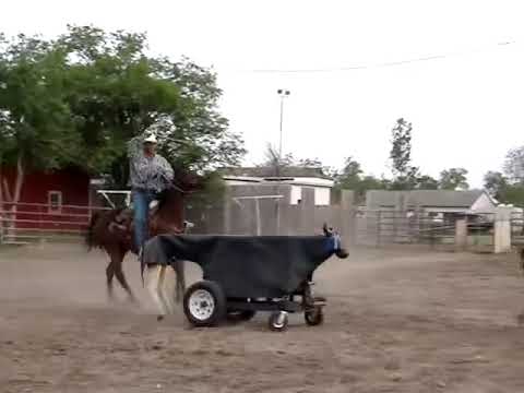 team roping dummy , homemade