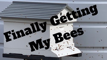 Picking up my Bees - Installing NUC - Nucleus Hive - Bee Keeping - Beginner Bee Keeping