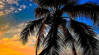 Ni Yesu Mwana Mungu ( Cover)