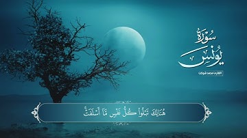 سورة يونس - محمد شوكت - رمضان 2023