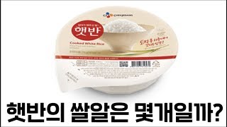 햇반의 쌀알 개수는 몇개일까? 8시간동안 직접 세봤습니다.