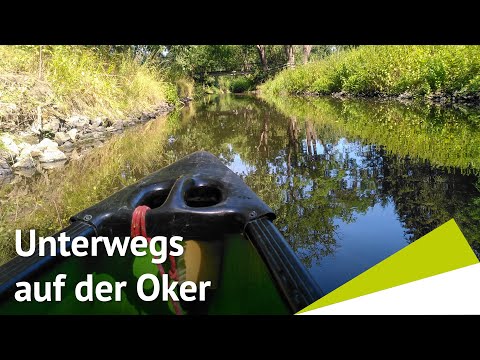 Unterwegs auf der