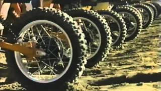 Celebrity Silent Victory the Kitty O'neil Story Wealth