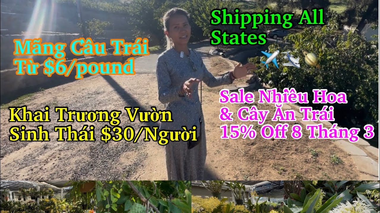 Vườn Cây Út Nho OnSale Rất Nhiều Hoa và Cây Ăn Trái Cho Le 8 Tháng 3