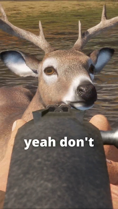 He just stood there and TOOK IT 😫🦌🔫 | theHunter: Call of the Wild