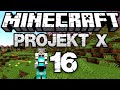 Das neue Pferd | MINECRAFT PROJEKT X