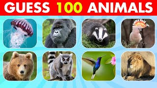Guess 100 Animals in 3 Seconds 🦝🦔🐯 Easy, Medium, Hard, Impossible screenshot 3