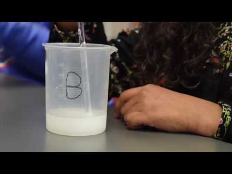 Experiencia2  - Turma - 8PTM do Centro Escolar de Porto de M&oacute;s