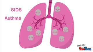 The Dangers of Third-hand Smoke