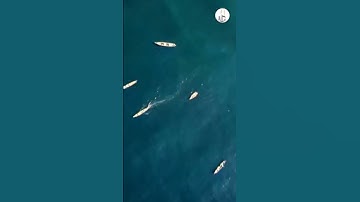 #صلوا_على_النبي #تلاوة رائعة #السديس