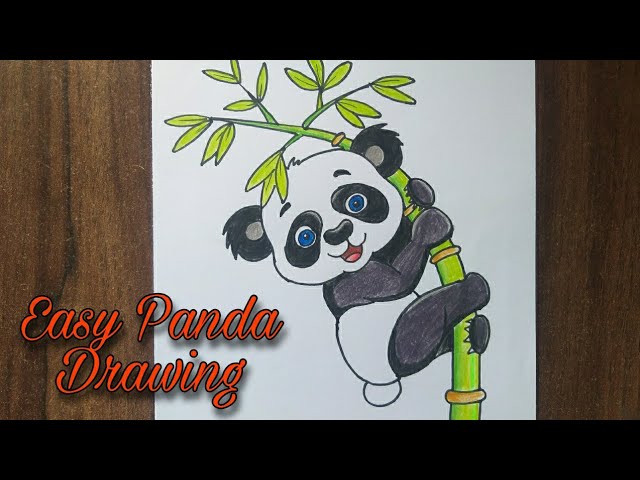 30 Panda Coloring Pages: 2024 Free Printable Sheets