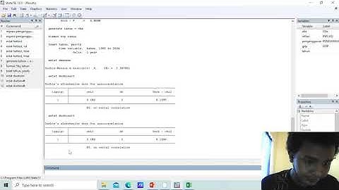 STRUKTUR, FORMAT, DAN SET DATA DENGAN UJI ASUMSI KLASIK MENGGUNAKAN STATA