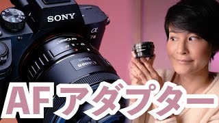 English Subtitles / K&F Concept AF adapter EF-E AF II の実力は? Canon EFレンズがSony EボディでAFレンズとして使えるアダプター