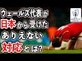 【海外の反応】「日本人を誤解していた…」赤い悪魔が頭を下げた理由とは⁉ラグビーW杯で見せた日本のおもてなし！