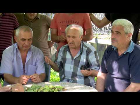 ეთნოფორი • etnopori (გადაცემა ასმერვე) 27.07.2017წ.