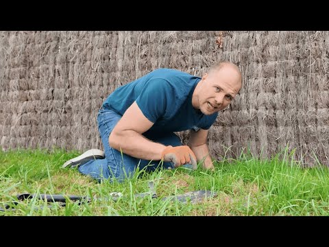 Taupe rebelle le long d'une clôture : mon piégeage filmé