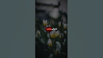 (واصبر نفسَك) ماتيسر من سورة الكهف للقارئ الشيخ ياسر الدوسري ♥️🌿