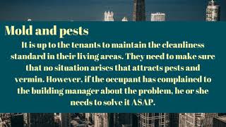 4 violations that you need to see while buying or renting a NYC home