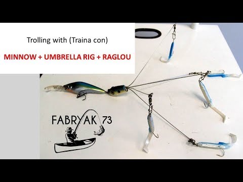 Trolling with traina con Minnow + Umbrella Rig + Raglou
