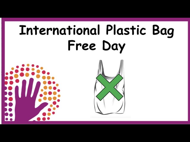 International Plastic Bag Free Day 5 Alternatives to Replace Plastic